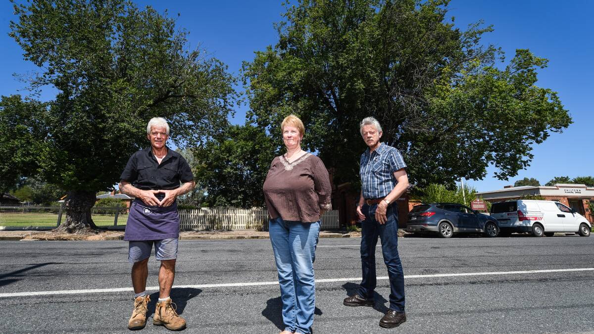 LAST-DITCH EFFORT: Graydon Johnston, Colin Peters and Ellen Taylor are urging Indigo Council to reconsider cutting down two old elm trees in Chiltern. Picture: MARK JESSER