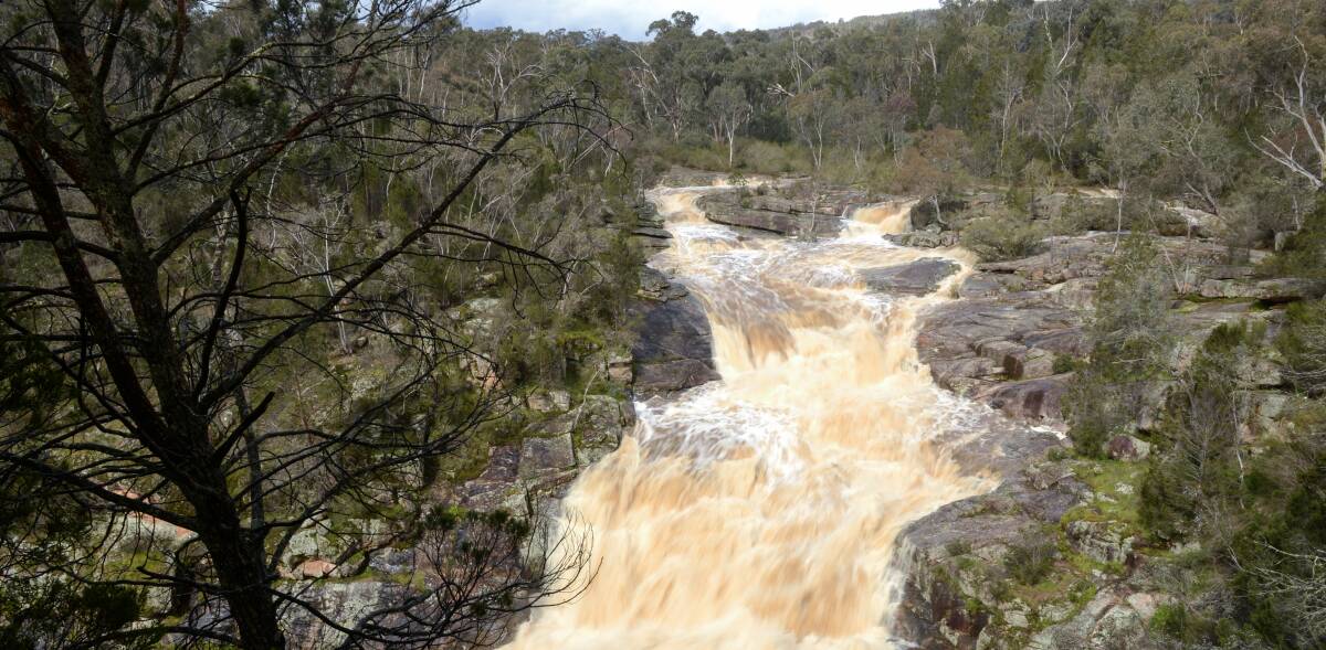 TORRENT: A huge amount of water flows through Woolshed Falls this week following storms which lashed the North East, envigorating the ecosystem. Picture: MARK JESSER