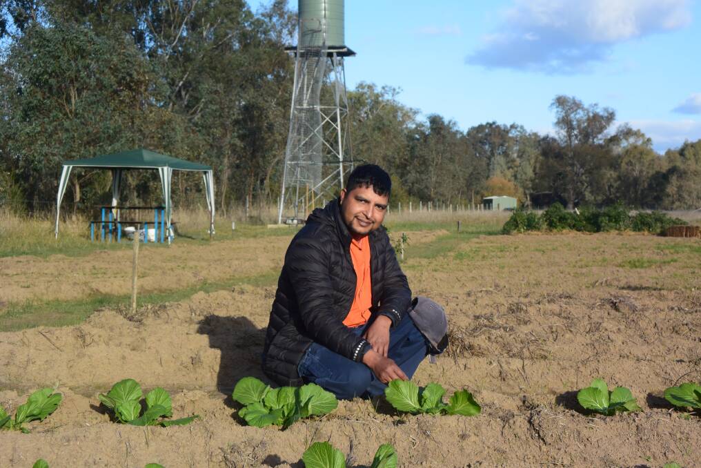 PRODUCER: Bhutanese migrant Rohit Khulal supervises the new community market farm near Lemke Road. Mr Khulal says he is loving life on the Border with his wife and children. Picture: DERRICK KRUSCHE