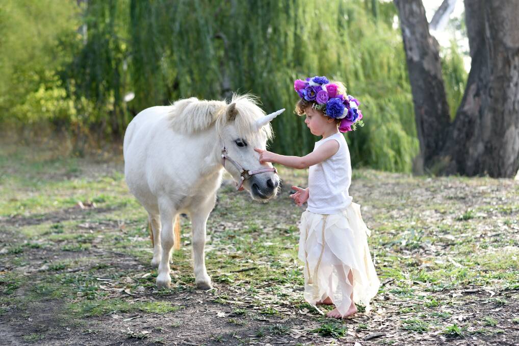 MAGICAL MOMENT: Olive Statham, 3, who has a rare genetic condition called Williams Syndrome, meets Tilly the unicorn ahead of the inaugural Border Unicorn Festival on May 27. Picture: CARMELA PARKIN (A beautiful eye photography)