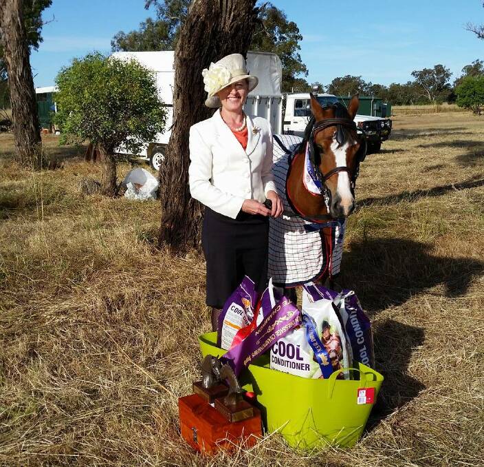 SPOILS OF VICTORY: Pam Salter, of Gerogery West, with her pony Dalgangle Horatio at the NSW Driven Dressage Championships where the pair swept the prize pool with a polished performance.