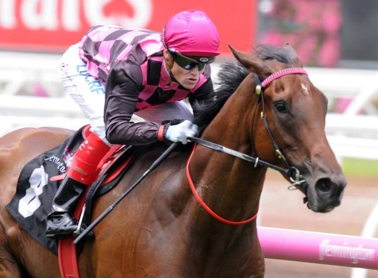 CITY SUCCESS: Craig Williams steers Willi Willi to victory at Flemington on Saturday. Picture: RACINGBET