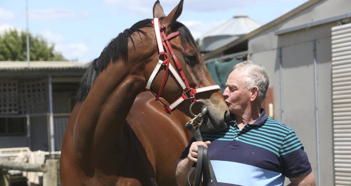 CUP KING: Wodonga trainer Brian Cox is hoping Hot Ruby will deliver him his 12th Wodonga Gold Cup on Friday. He has four runners in the main race. Picture: ELENOR TEDENBORG