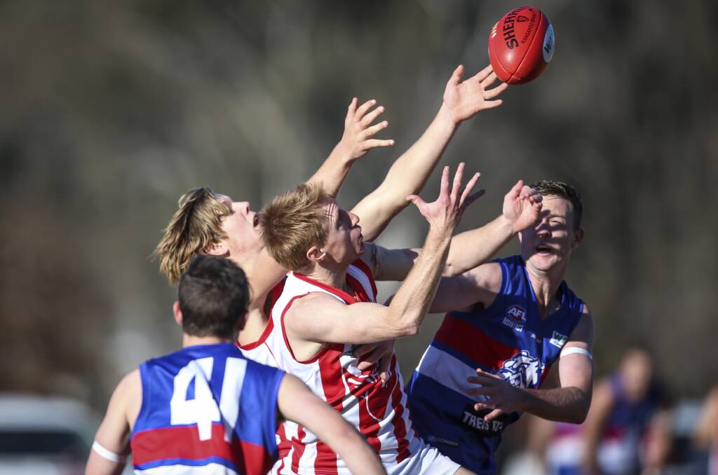 Henty's Nick Murray in action against Jindera.