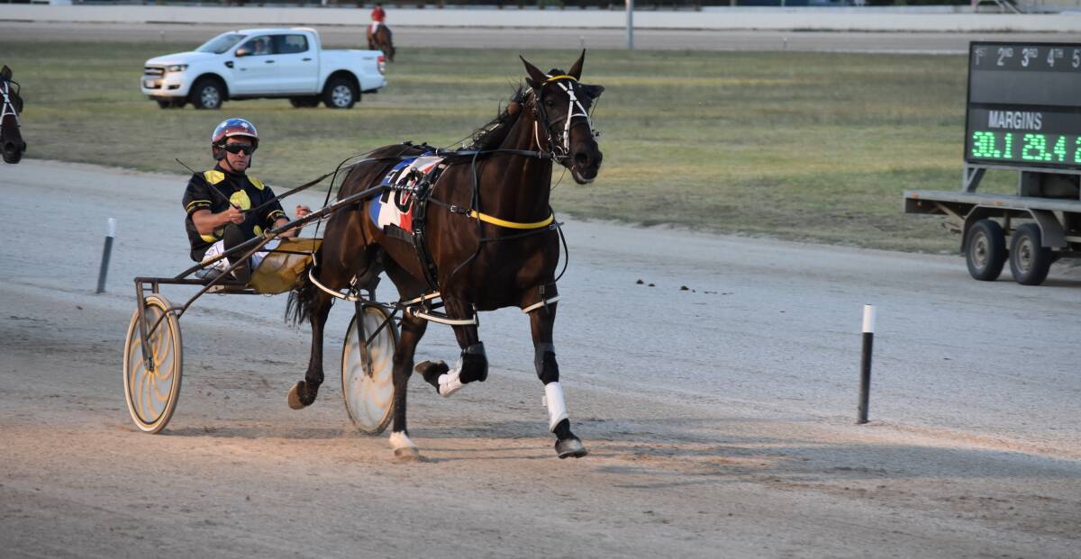 IN THE HUNT: Medal Of Honour in the only Riverina horse in the running for the Albury Pacers Cup on Saturday night. He's coming off a win on the track, pictured, a fortnight ago for new trainer Shane Hillier. Picture: Courtney Rees