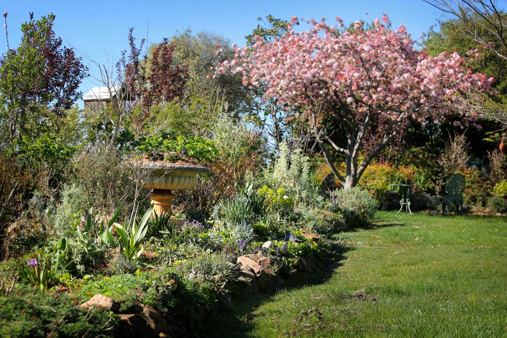 Rutherglen & District Garden Club presents "Gardens Round the Glen", a garden walkabout with 7 open gardens in Corowa, Wahgunyah and Rutherglen. Sunday, November 1, 10.00 a.m. to 4.00 p.m. $10.00 fee will provide entry to all the gardens.