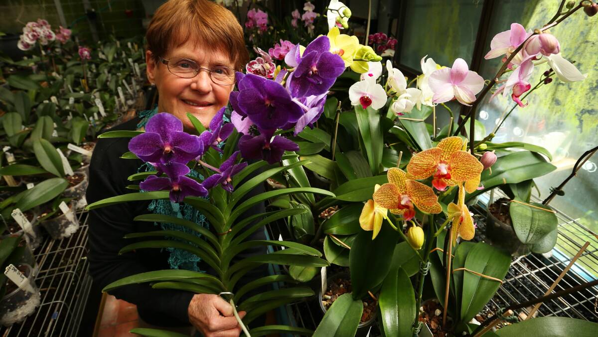 Albury-Wodonga & District Orchid Club meet,  Tuesday, September 1, 7.30pm.  Beginners’ Group 7.00pm.  Murray Valley Centre, Pearce Street, Wodonga.  Visitors welcome. Phone: (02) 6021 4887