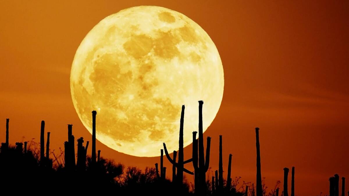 The best time to enjoy a super full moon is at moonrise, a little after 8pm on the east coast of Australia on December 4. 