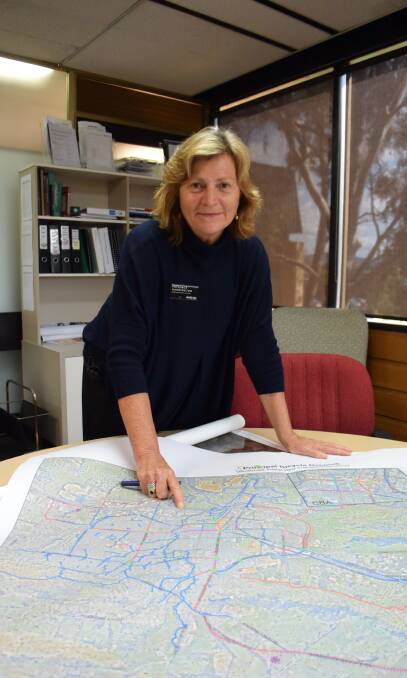Getting aboard: Wodonga Council chief executive Patience Harrington says she will be pushing for improvements to the North East railway line.