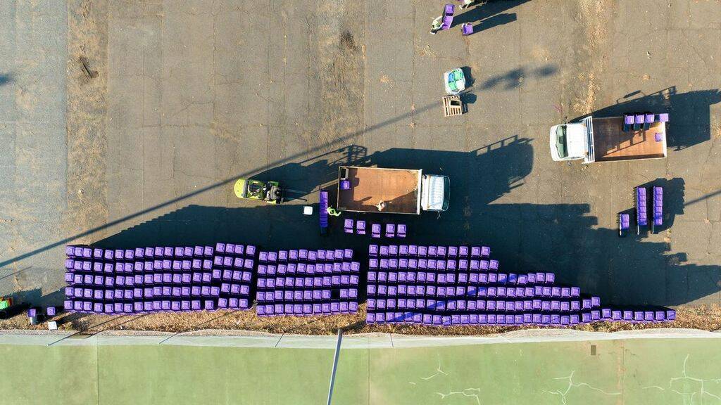 Bird's eye view of purple-lidded bins being taken away as part of a rollout of the containers in the Goulburn Valley area. Picture from the Greater Shepparton Council 