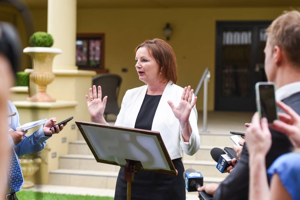 Making a point: Sussan Ley talks of her trips to Queensland and the purchase of a Gold Coast unit at a media conference in Albury. Picture: MARK JESSER