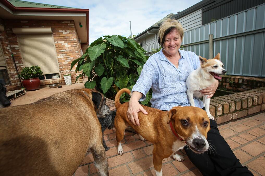 FOR LIFE: Albury Wodonga Animal Rescue's Ella Bloomfield says pets are for life, and shouldn't be given as presents. Picture: JAMES WILTSHIRE 