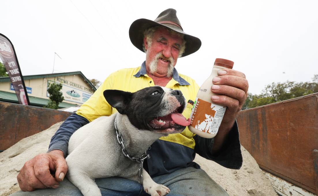 Bottler of a drink: Jack Britton and his dog Cooky admire the second coming of Kiewa iced coffee milk on Thursday morning. Picture: MARK JESSER