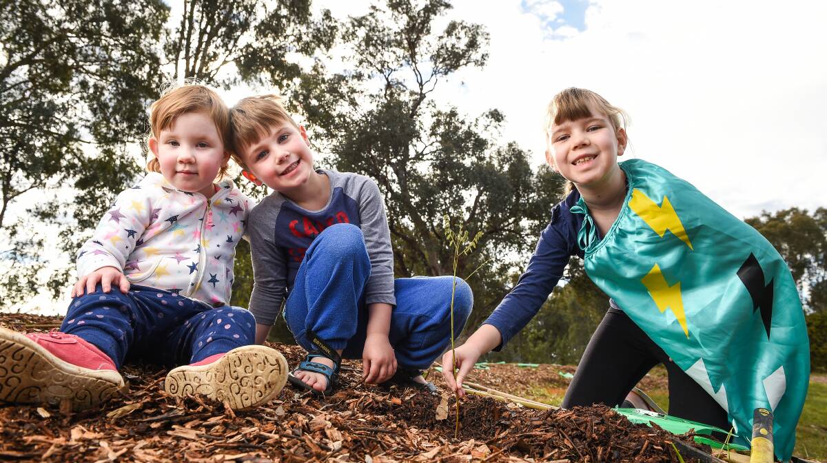 Sapling siblings: The Walters-Robson clan, Tilly, 3, Nathaniel, 4, and Paige, 7, plant a tree to aid Thurgoona's environment at an Albury Council event on Sunday. Picture: MARK JESSER   