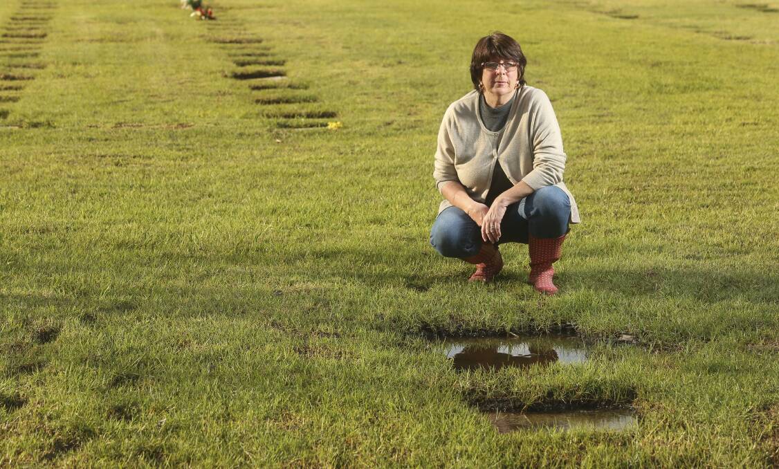 Boggy ground: Denise Stewart in the lawn section of the Waugh Road cemetery where her uncle is buried. She was appalled to find grave details hidden by puddles of water. Picture: ELENOR TEDENBORG