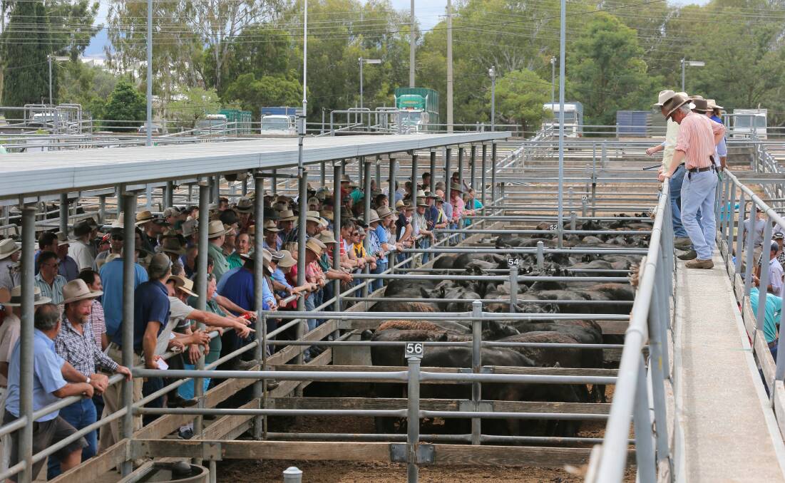 Way clearer: The gates have shut on the former Wodonga saleyards site being used for housing, with the city's planning chief ruling out a residential rezoning.