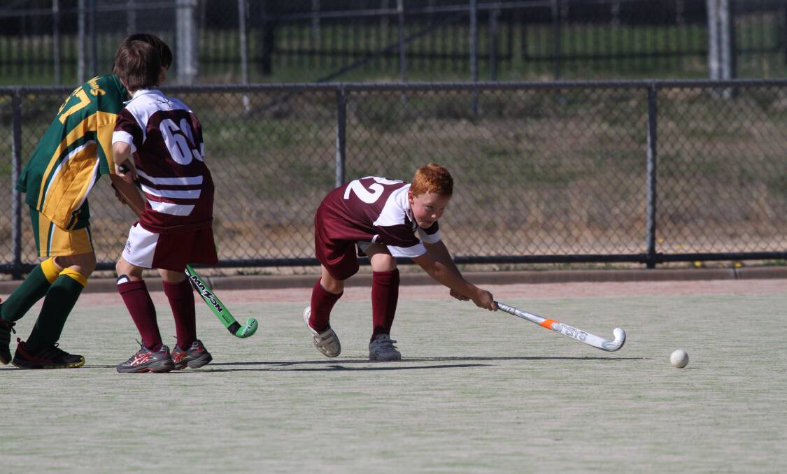Ripping result: Wodonga's hockey pitches are set to get a new surface after the city council approved a $516,000 tender from Tiger Turf Australia.