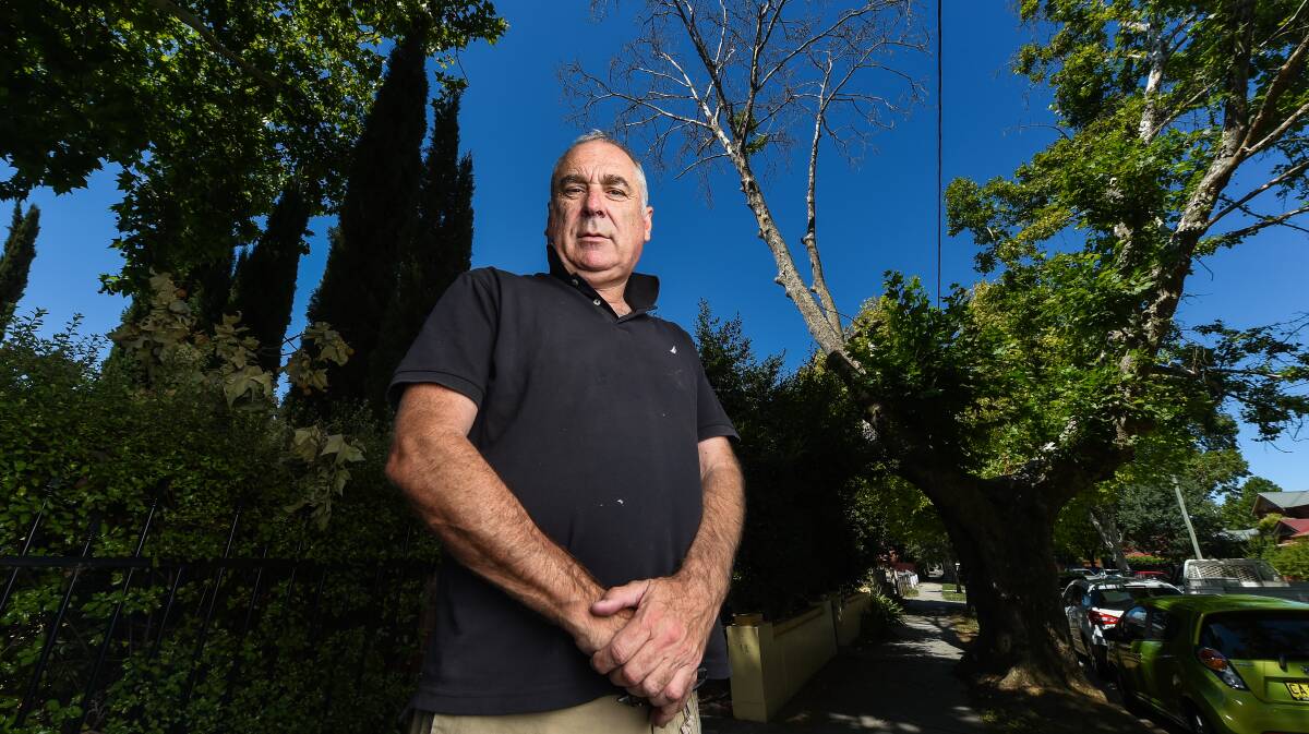 Timber: Murray King with the plane tree which will be removed from Albury's Guinea Street this month after being declared dead by an arborist. Picture: MARK JESSER