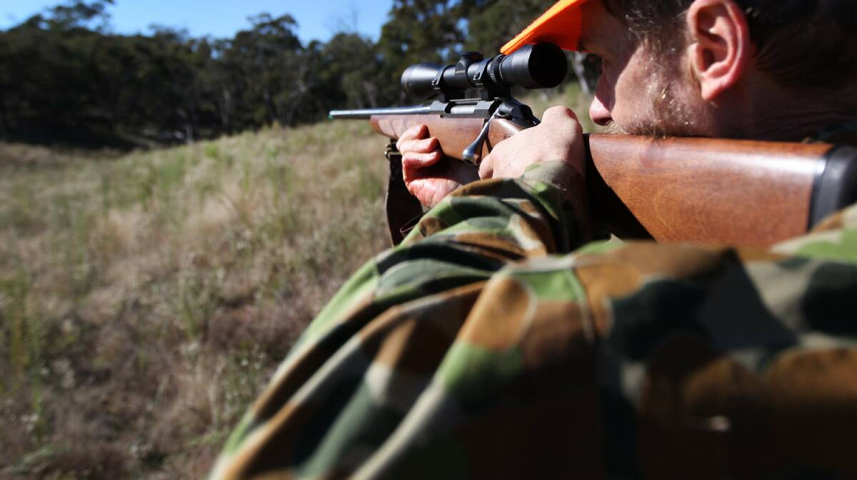 Gunning for more cash from hunters