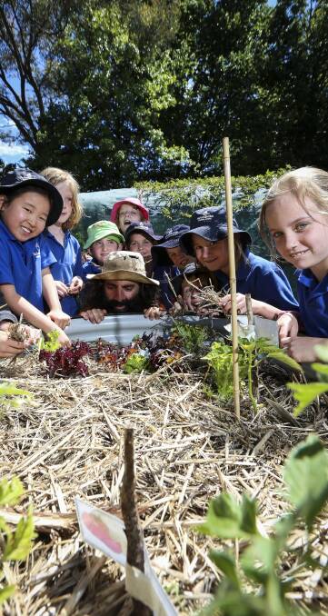 Green thumbs: ABC television gardening guru Costa Georgiadis was at Yackandandah Primary School with pupils and their vegie patch. Pictures: JAMES WILTSHIRE
