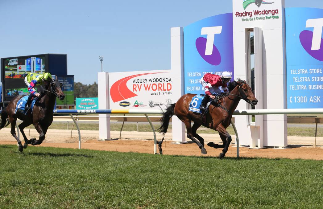 STREETS AHEAD OF THE PACK: The Andrew Dale-trained Shelbyville takes out race four at Wodonga on Friday, the Ollie Cox Memorial. Picture: JAMES WILTSHIRE
