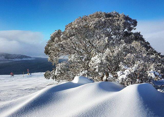 #Nature moments at #FallsCreek. She puts on a show. Our Instagram #PicoftheDay by @hockster111. 