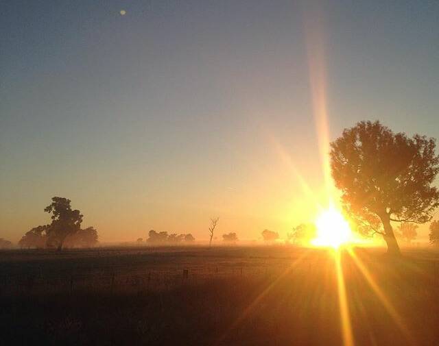 The dawning of a new day! Our Instagram #PicoftheDay is by @categeard. 