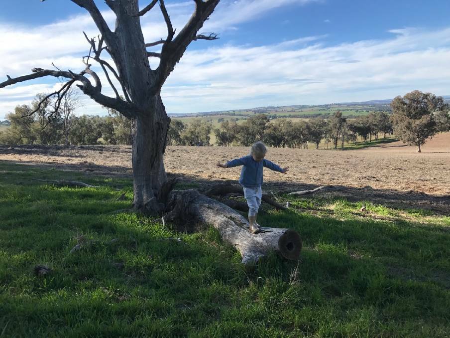 WINTER PHOTO COMPETITION: Farm Gymnastics. Four-year-old Charlotte balancing on a beautiful winters day. Photo: Lauren Kendrick.