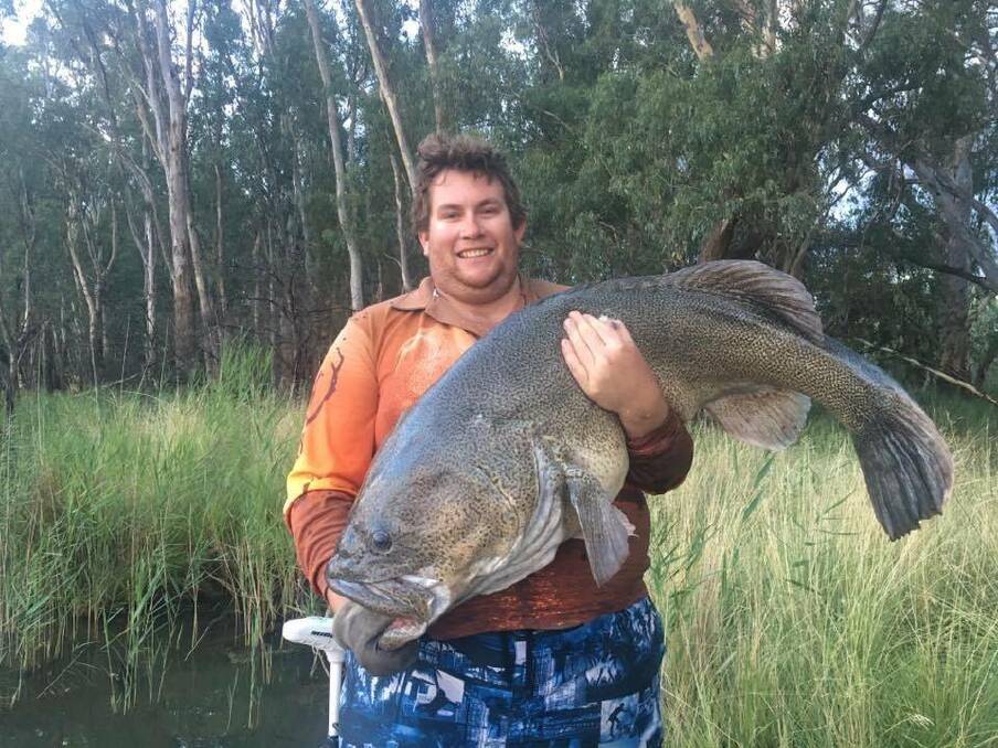 That's not a fish. This is a fish! Naring's Nathaniel Hendy with his mighty Murray Cod at Bundalong earlier this month. The fish was released back safely into the river. Photo: Margo Hendy, Courtesy: ABC Goulburn Murray.