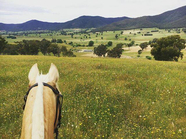 Get your riding shoes on! Our Instagram #picoftheday comes to you from Corryong by @ wendy_sheather. 