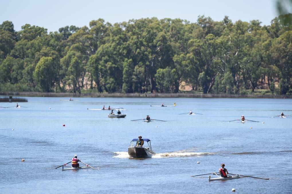 Single sculls in action at Lake Moodemere for the annual Rutherglen Rowing Regatta. Photo: Mark Jesser. 