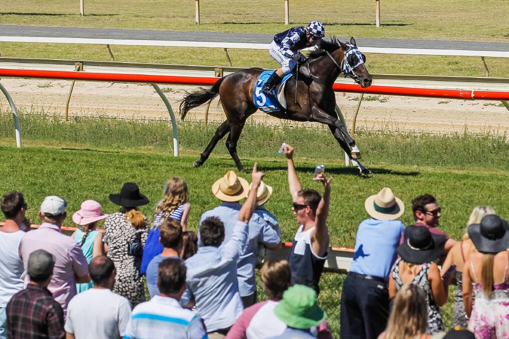 Wodonga trainer Peter Maher has long been a popular winner at his home track, with She Will Loosen Up saluting on Boxing Day, 2014. Maher will be hoping for more of the same at Friday's Gold Cup.