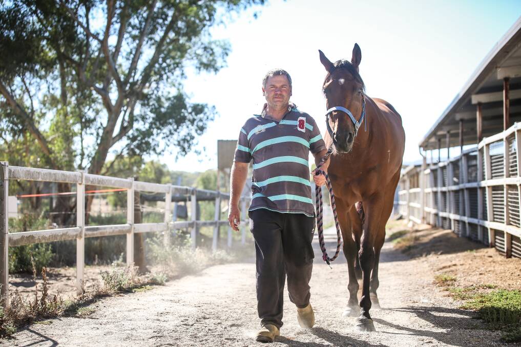 THE BUTLER DID IT: That's exactly what trainer Norm Loy will be hoping is the case with Butler Butler in the Corowa Cup. Picture: JAMES WILTSHIRE 