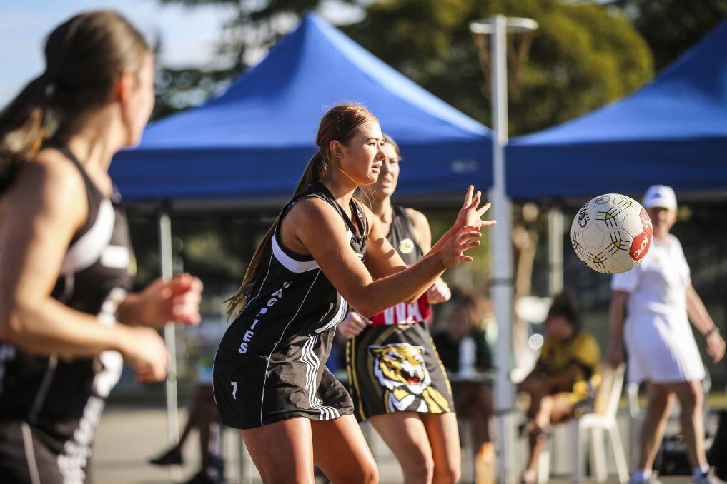 FOCUS: The Pies' Mikaela Trethowan has her mind on the job as she searches for a teammate in the loss to Albury. Wangaratta now trails the Tigers by a win.