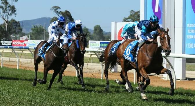 Master Reset wins the 2015 Wodonga Gold Cup. The six-year old could look to regain the title, pending acceptances for Sunday's Kilmore Cup.