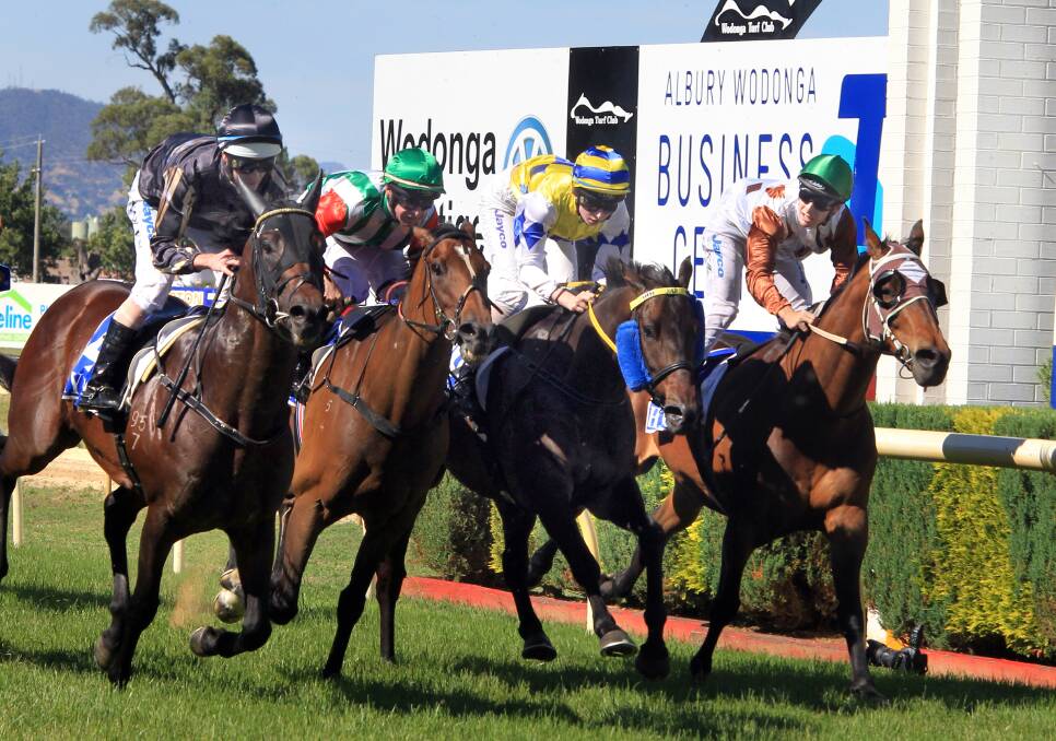 The Michael Moroney-trained Zabisco (left) wins the Wodonga Gold Cup in 2012. He's hoping to repeat the feat on Friday with Strike Force.