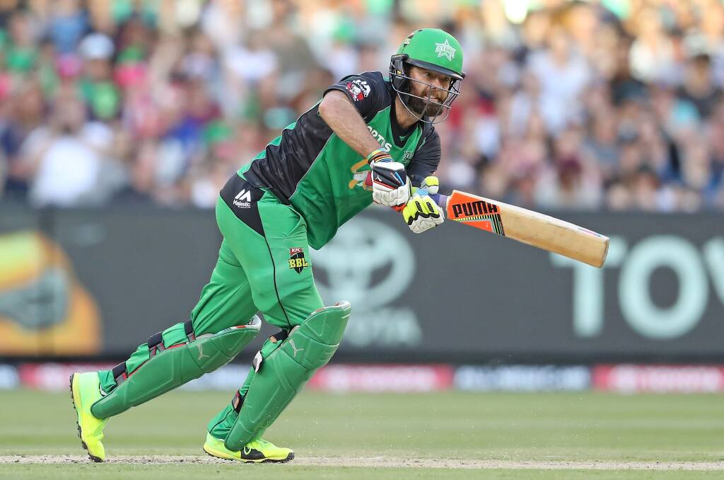 EXPERIENCED CAMPAIGNER: Rob Quiney has played all six seasons of the Big Bash League for the Melbourne Stars. Picture: MELBOURNE STARS