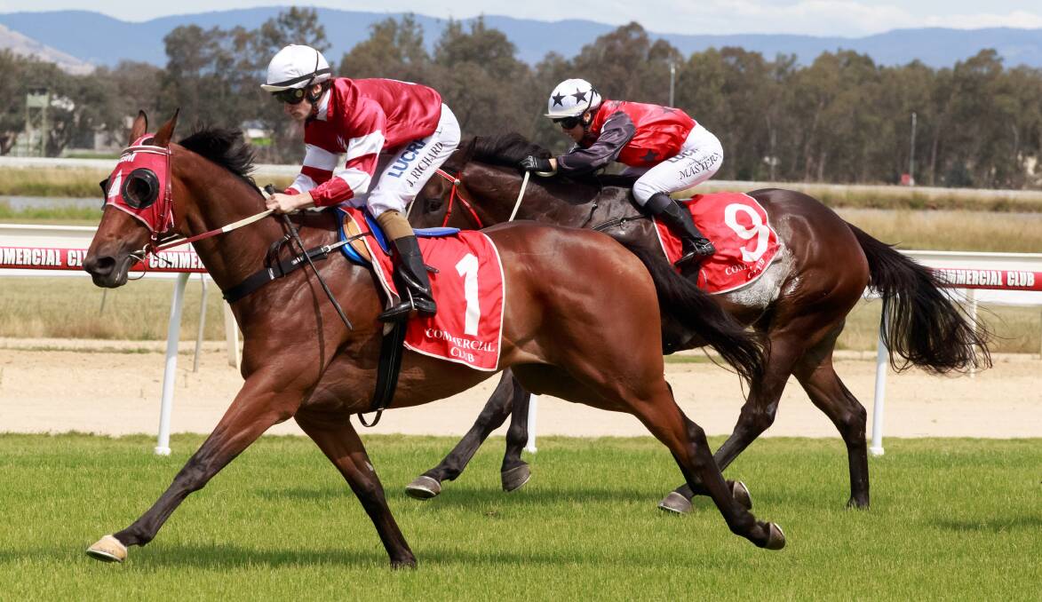 STORMING HOME: Andrew Dale's Lawton Joseph finished fast to take out race four from Hargy at Albury on Saturday. Picture: SIMON BAYLISS