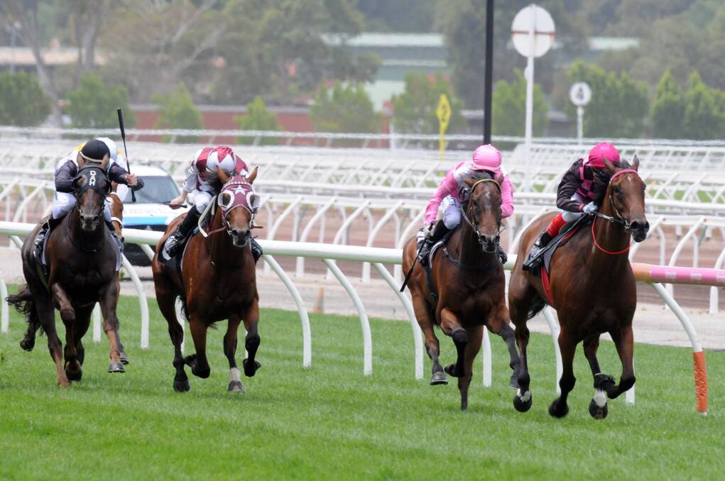 EXCELLENT RUN: The Craig Widdison-trained Willi Willi will look to back up its win at Flemington last start with victory at Caulfield. Picture: AAP