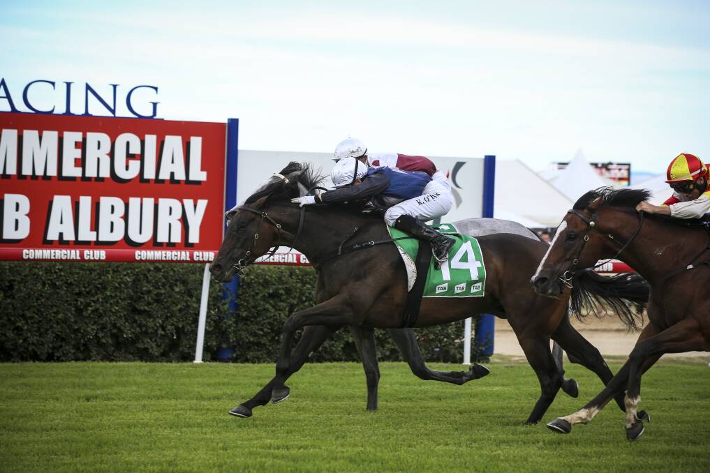 BY A NOSE: Kathy O'Hara takes Siren's Fury to a thrilling victory in the Albury Guineas for Warwick Farm-based trainer Jason Coyle on Friday. Picture: JAMES WILTSHIRE