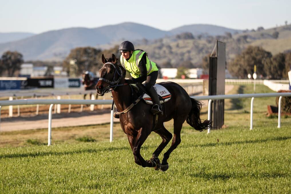 FULL PACE: Abby Stubbs put Albury Racing Club's new track to the test this week. Pictures: JAMES WILTSHIRE