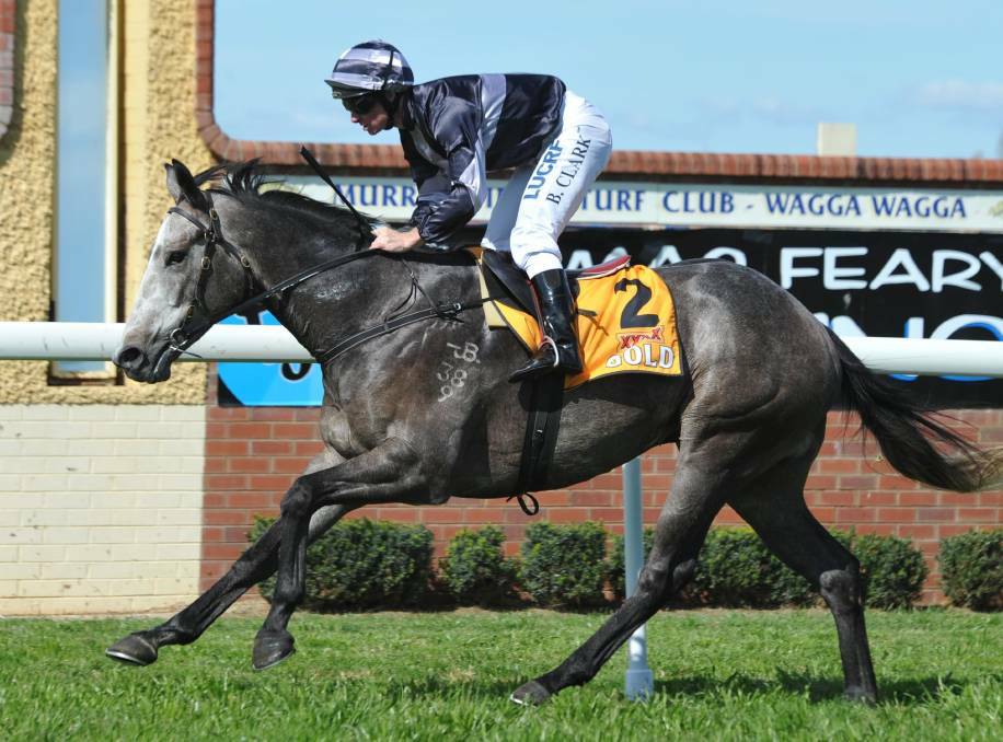 STRONG CHANCE: Not Too Sure, pictured winning at Wagga, is one of Chris Heywood's better prospects at Albury's meeting on Thursday. Picture: LES SMITH