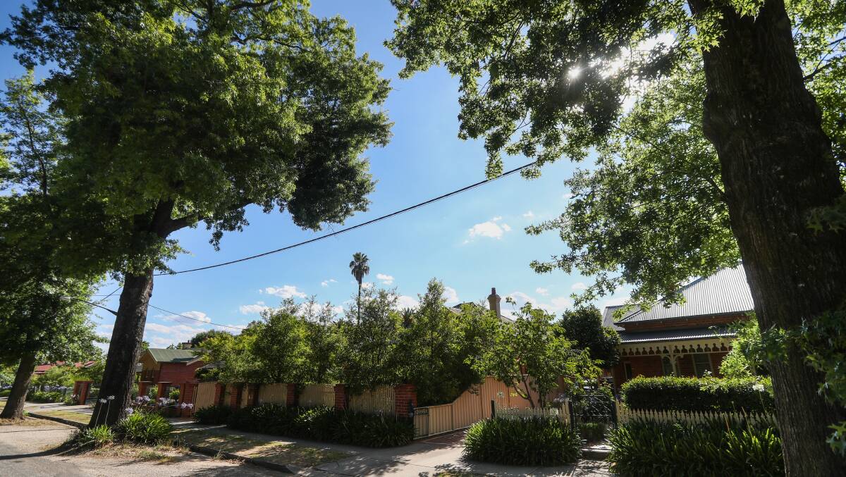BALANCING ACT: Albury Councillor Henk van de Ven says all options were considered when discussing the regretful removal of trees from Griffith Street.