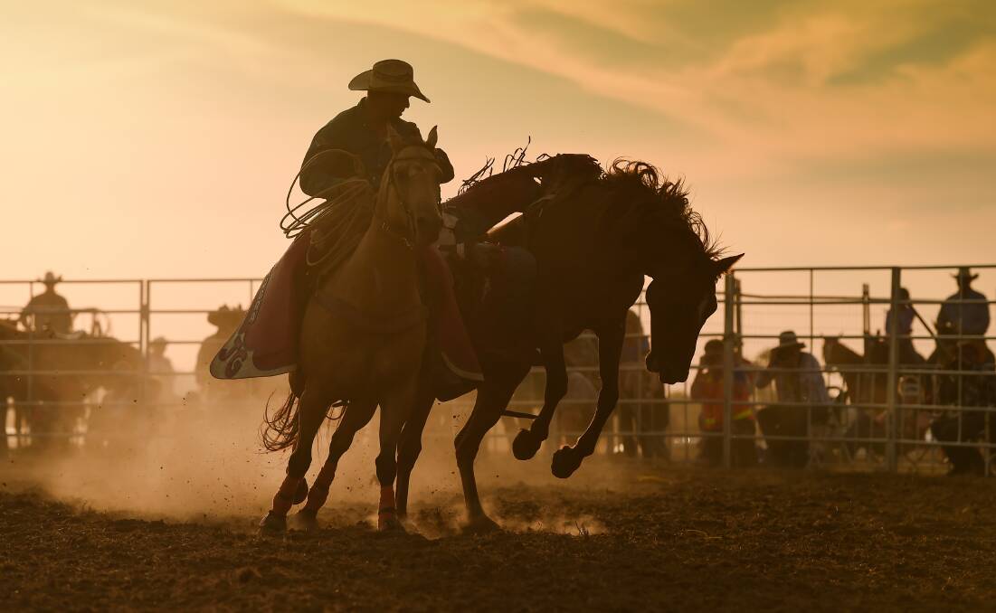 TIMES ARE A CHANGIN: A reader who used to enjoy rodeos says animals should be exhibited for their "grace, skill, power and glory" but we don't need to see them suffer. 