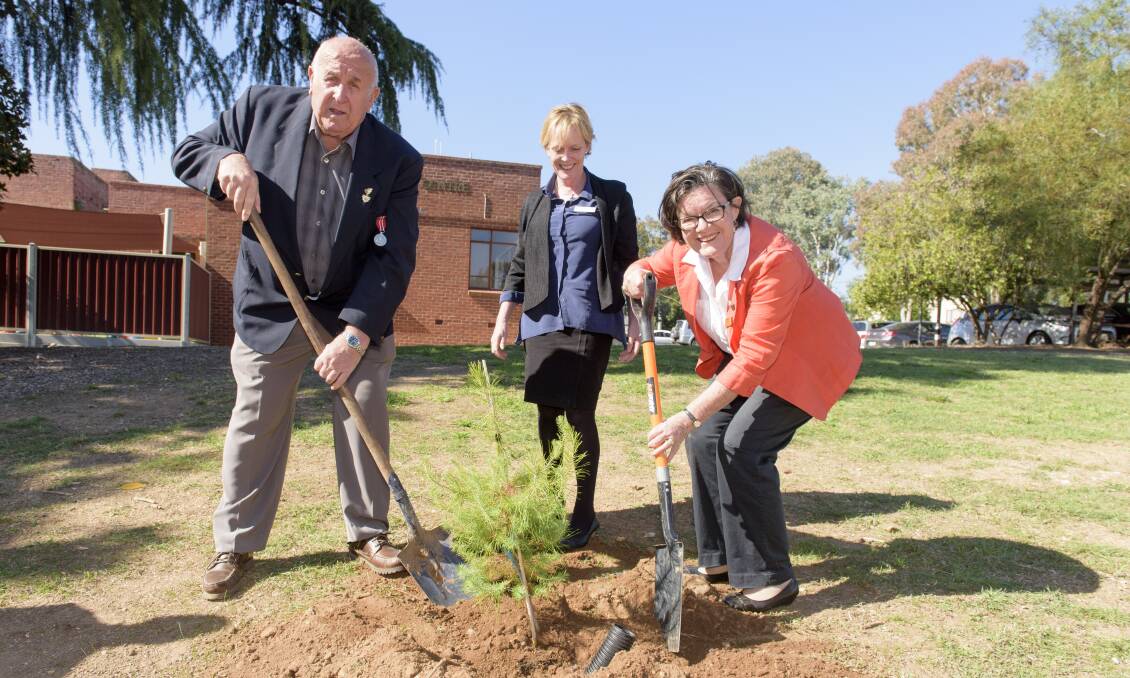 HOME: Rutherglen RSL's Neville Bainbridge, Indigo Mayor Jenny O'Connor and Indi MP Cathy McGowan plant a pine. Picture: SIMON BAYLISS