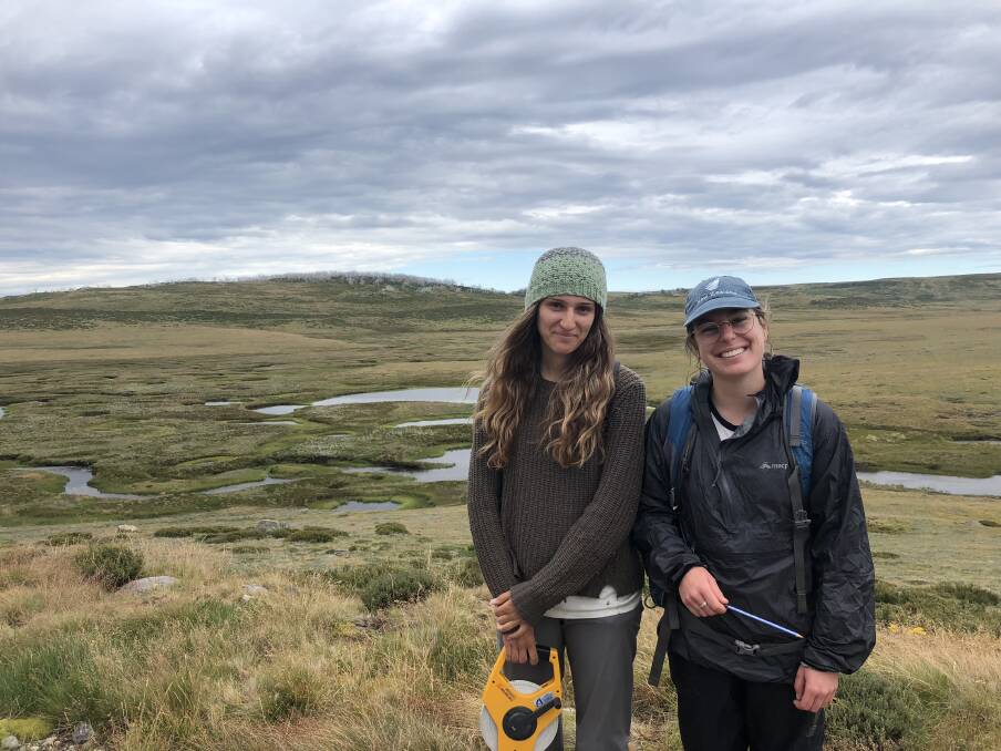 Bianca Berto and Alex Blackburn-Smith have also undertaken cadetships at the Research Centre for Applied Alpine Ecology up in Falls Creek, examining current impacts of deer on threatened alpine plant communities. Picture: Dr John Morgan