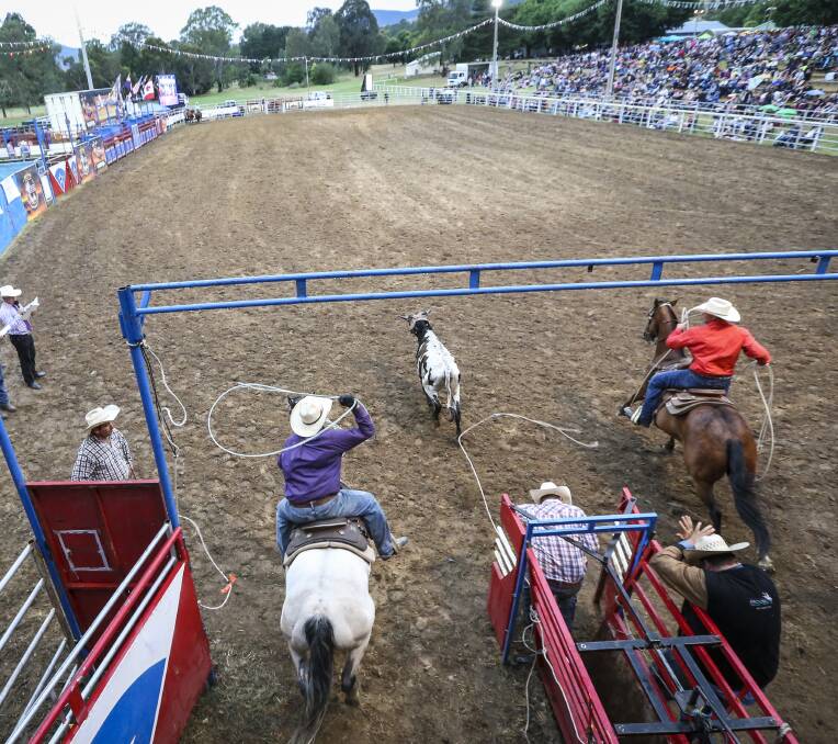TRICK SHOT: Terry Evison and JR Marsh try their luck in the team roping event, in front of almost 2000 people.