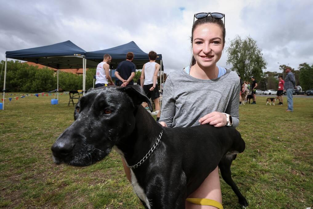 SPIRITED: Caitlin Campbell with her bull arab-cross Elsie, whose leg was amputated after being hit by a car, were among the 60 dog owners and their furry friends taking part in the event on Sunday. Pictures: JAMES WILTSHIRE