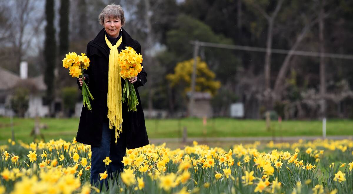 HAPPY MOMENT: Rae Gibbons, a volunteer of four years at Cancer Council NSW, celebrates 30 years of Daffodil Day. Pictures: MARK JESSER