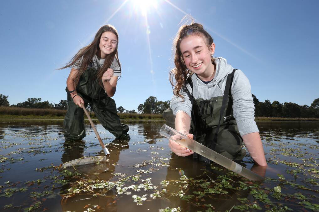 KNEE-DEEP: James Fallon High School students Miranda Mills, 15, and Gabrielle Berry, 14, test water quality in the wetlands at Charles Sturt University. Picture: KYLIE ESLER